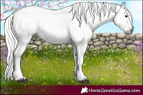 Horse Color:Gray Silver Brown Tobiano