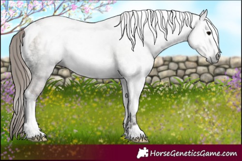 Horse Color:Gray Blue Onyx Ice Pearl Tobiano 