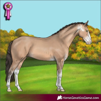Horse Color:Amber Champagne Sabino