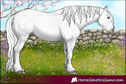 Horse Color:Gray Black Pearl 