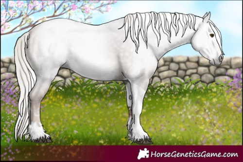 Horse Color:Gray Silver Black Pearl Tobiano 