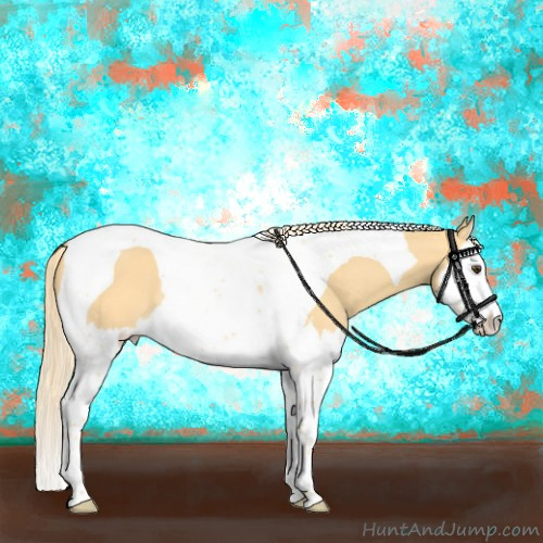 Horse Color:Palomino Dun Splash Tobiano Rabicano 