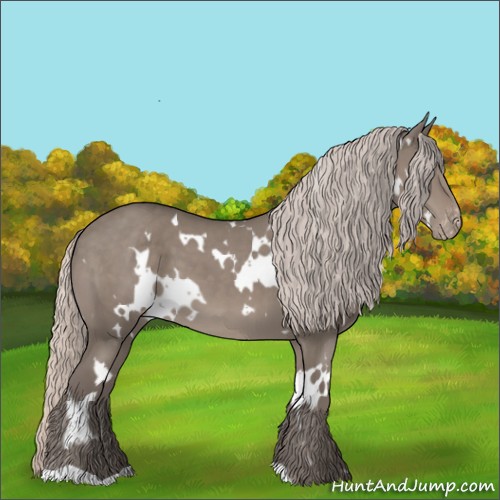 Horse Color:White Spotted Silver Grullo Varnish