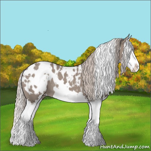 Horse Color:White Spotted Silver Grullo Splash Appaloosa 