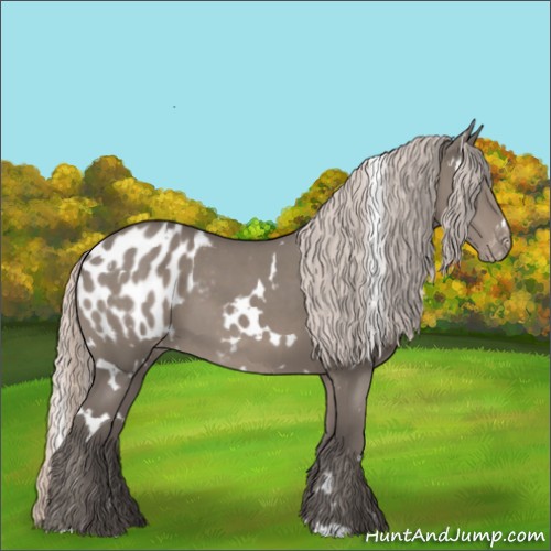 Horse Color:White Spotted Silver Grullo Blanket 