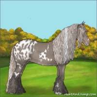 Horse Color:White Spotted Silver Grullo Blanket 