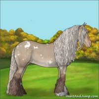 Horse Color:White Spotted Silver Grullo Varnish 