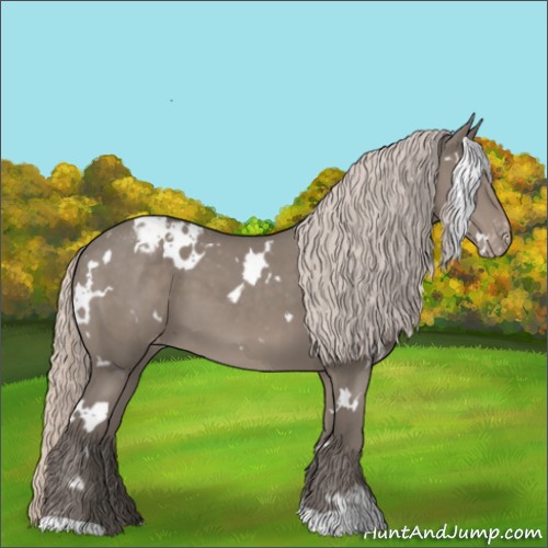 Horse Color:White Spotted Silver Grullo Appaloosa