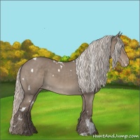 Horse Color:White Spotted Silver Grullo Varnish 