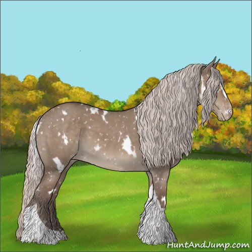 Horse Color:White Spotted Silver Grullo Tobiano Appaloosa