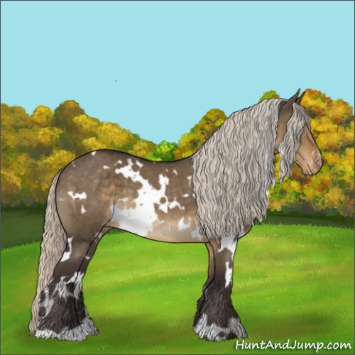 Horse Color:White Spotted Silver Smoky Grullo Appaloosa