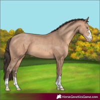 Horse Color:Amber Champagne 