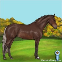 Horse Color:Silver Brown Rabicano 