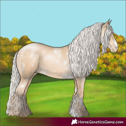 Horse Color:White Spotted Silver Smoky Black Pearl Sabino 