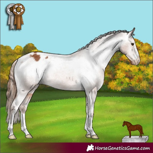 Horse Color:Chestnut Varnish Rabicano 