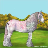 Horse Color:Nacre White Spotted Silver Buckskin Chinchilla Ice Onyx Tobiano 