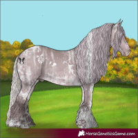 Horse Color:White Spotted Chocolate Silver Bay Chinchilla Ice Sabino 