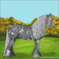 Horse Color:White Spotted Silver Black Chinchilla Ice Sabino Rabicano