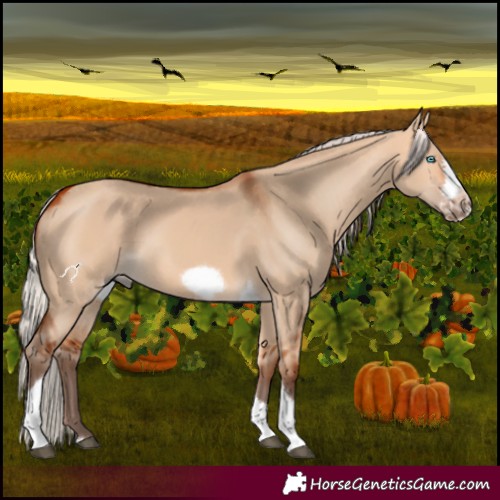 Horse Color:Silver Bay Dun Sabino Tobiano Frame Rabicano 