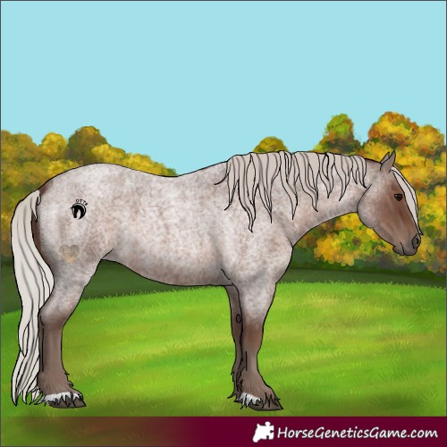 Horse Color:Silver Blue Roan 
