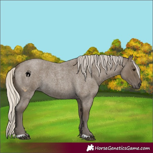 Horse Color:Silver Smoky Blue Roan 
