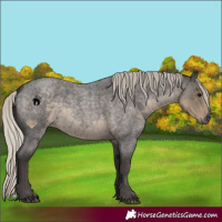 Horse Color:Silver Smoky Blue Roan 