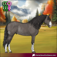 Horse Color:Smoky Grullo Rabicano 