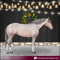 Horse Color:Bay Tobiano Appaloosa 