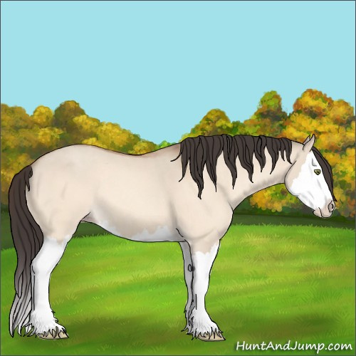Horse Color:Amber Champagne Dun Splash 