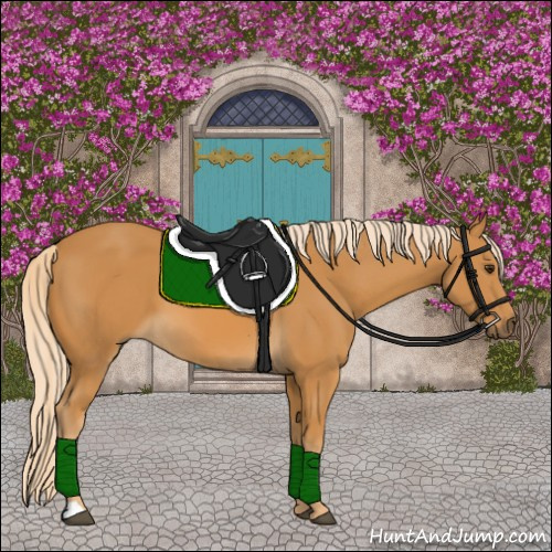 Horse Color:Palomino 