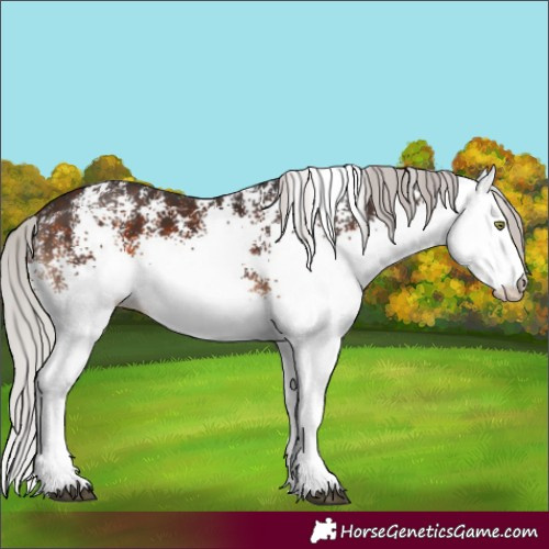 Horse Color:White Spotted Silver Brown Mushroom