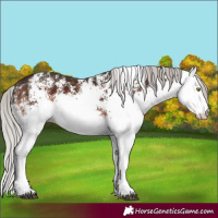 Horse Color:White Spotted Silver Brown Mushroom 