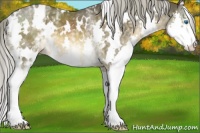 Horse Color:White Spotted Chocolate Palomino Mushroom Splash 