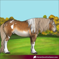 Horse Color:Gray White Spotted Chocolate Palomino Mushroom