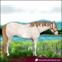 Horse Color:Red Roan Pearl Tobiano Frame 