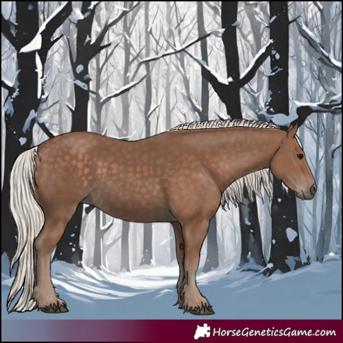 Horse Color:Silver Black
