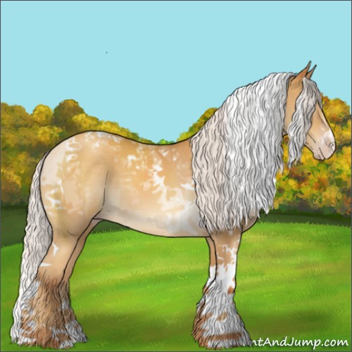 Horse Color:Chocolate Silver Sable Cream Champagne Tobiano