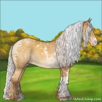 Horse Color:Chocolate Silver Sable Cream Champagne Tobiano 