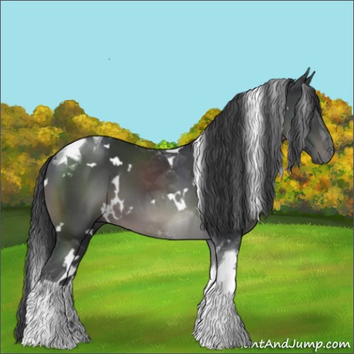 Horse Color:White Spotted Black Tobiano