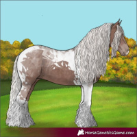 Horse Color:Chocolate Silver Black Tobiano 