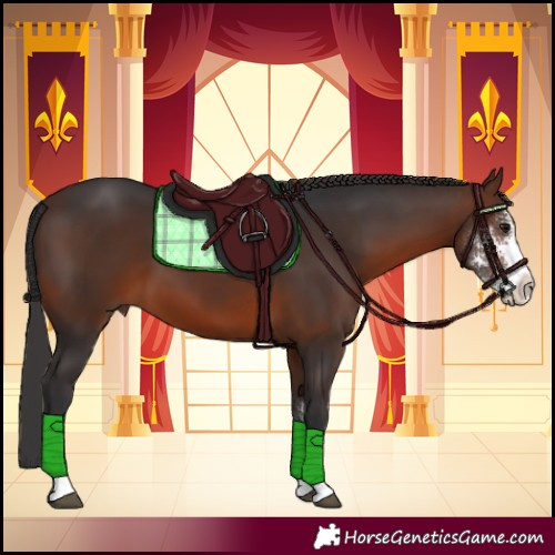 Horse Color:Brown Sabino