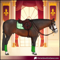 Horse Color:Brown Sabino