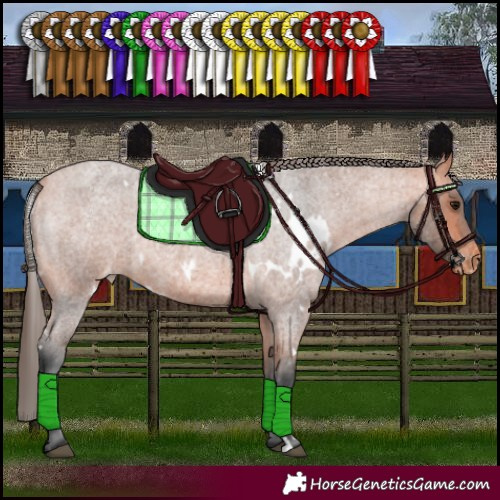 Horse Color:White Spotted Bay Roan Varnish 