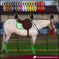 Horse Color:White Spotted Bay Roan Varnish 