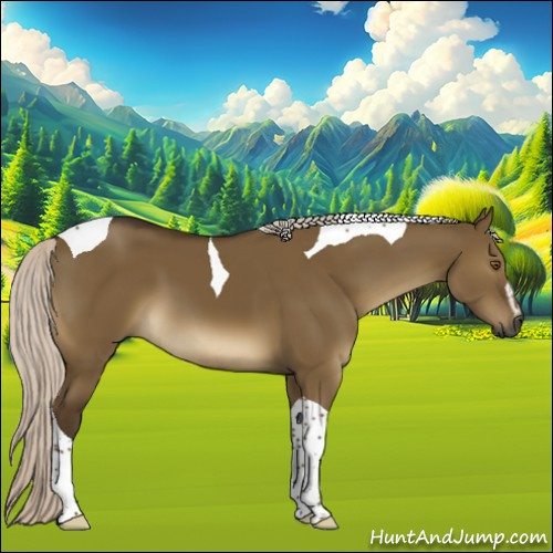 Horse Color:Gray Silver Smoky Grullo Sabino Tobiano 