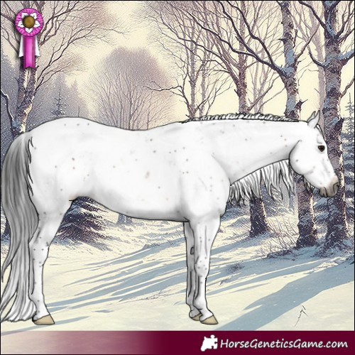 Horse Color:Gray Brown Sabino 