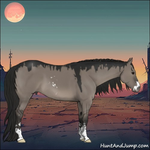 Horse Color:Gray Grullo Mushroom Sabino 