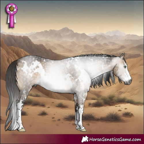 Horse Color:Gray White Spotted Buckskin Dun Sabino 