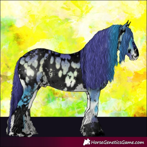 Horse Color:Void Painted Watercolor White Spotted Brown Onyx Sabino Near Leopard