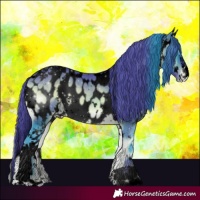 Horse Color:Void Painted Watercolor White Spotted Brown Onyx Sabino Appaloosa